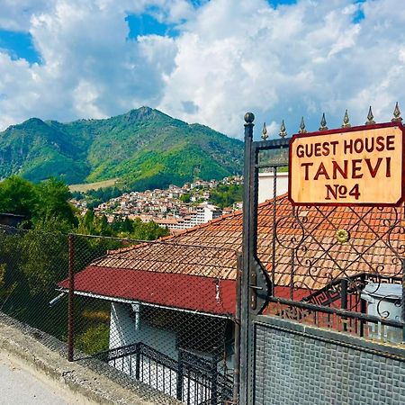 Guest House Tanevi Девин Экстерьер фото