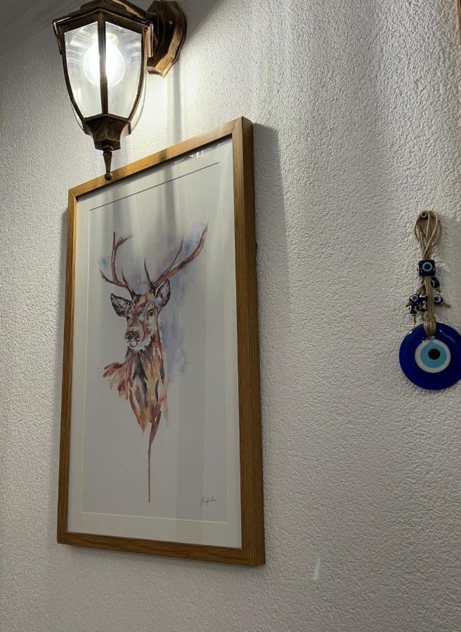 Guest House Tanevi Девин Экстерьер фото